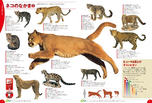 21年 動物 図鑑のおすすめ人気ランキング10選 Mybest