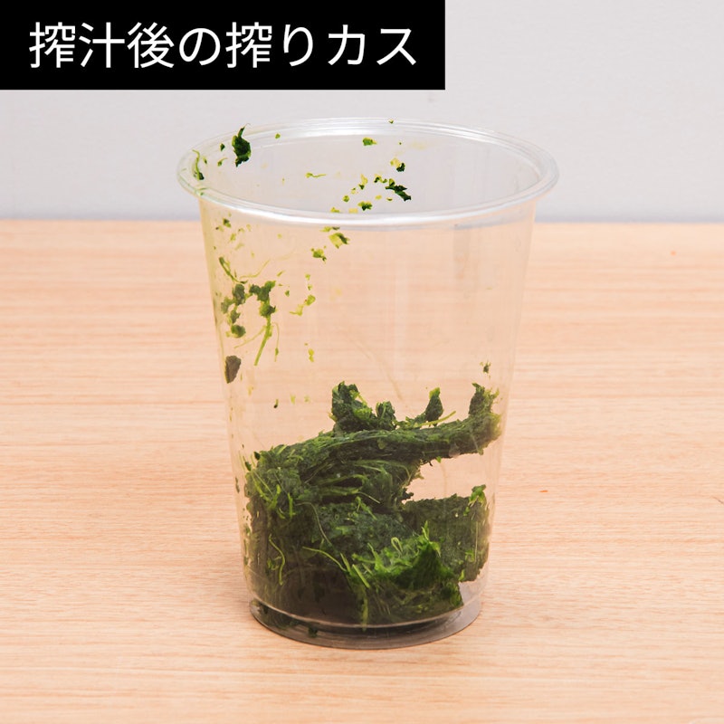 コールドプレスジューサー 14