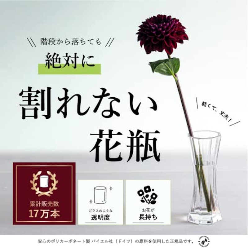 PVスリムオクタゴン 2