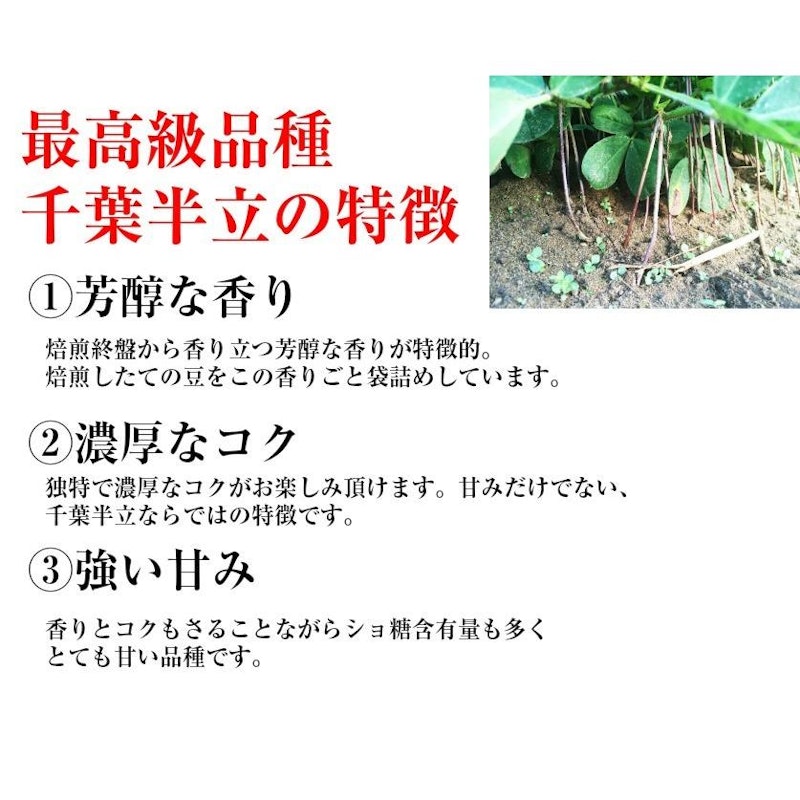 千葉半立 2