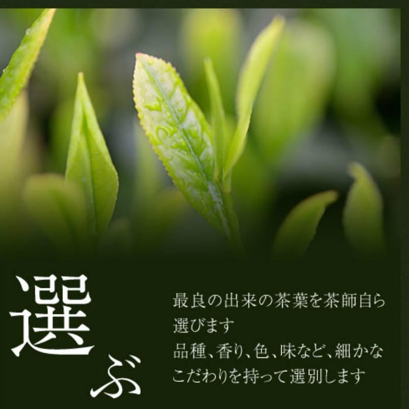 知覧茶 有機栽培茶 梅 5
