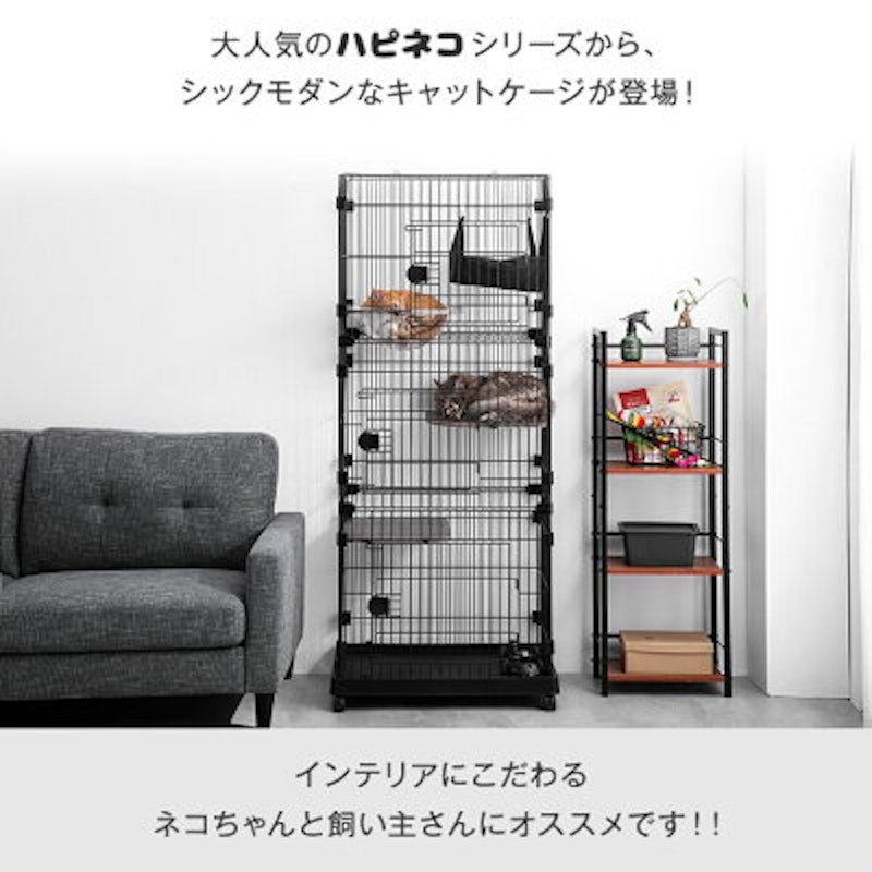 ハピネコ CHIC 4