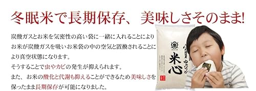 個人用備蓄米 米心 8