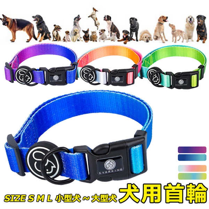 犬用首輪 1