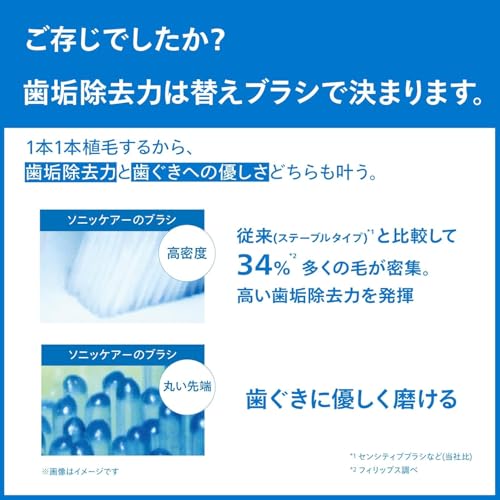 ガムプラス ブラシヘッド レギュラー 5