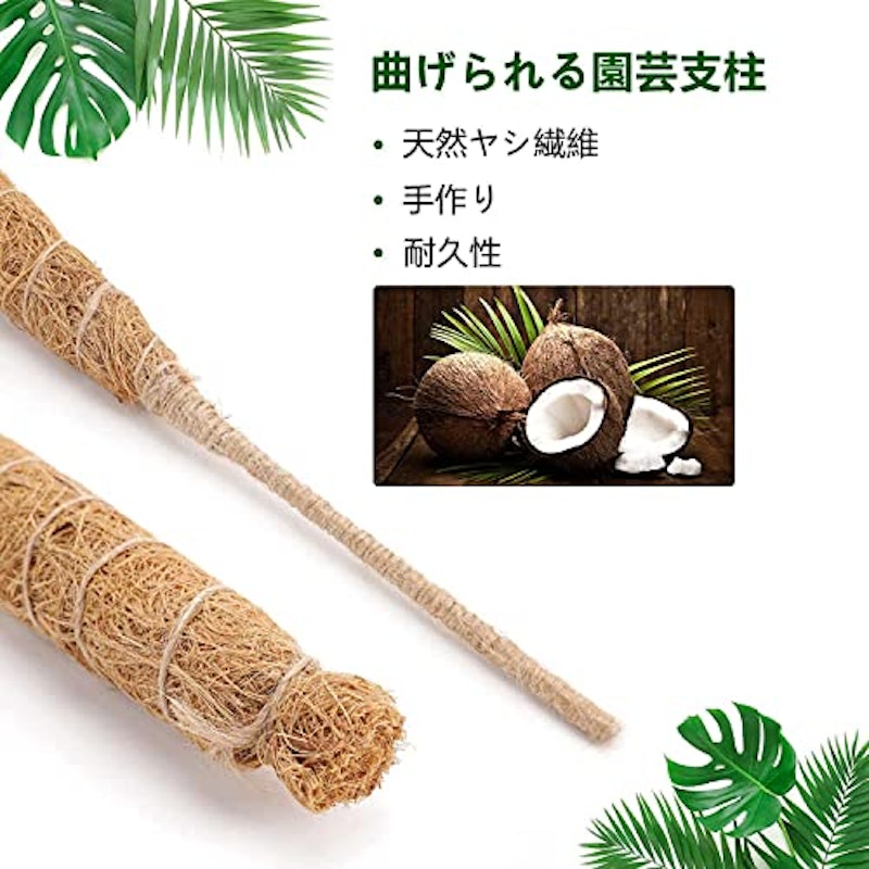 園芸支柱 4