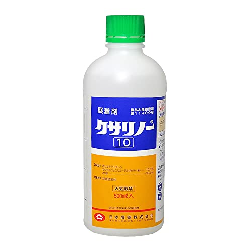 クサリノー10 1