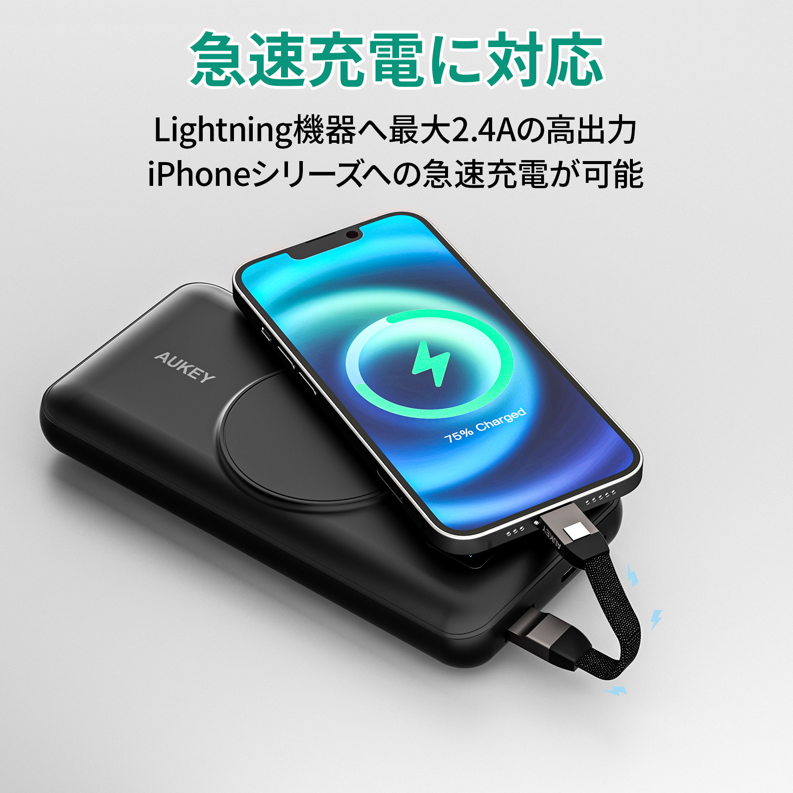 USB Type-A to Lightning ストラップ型ケーブル 5