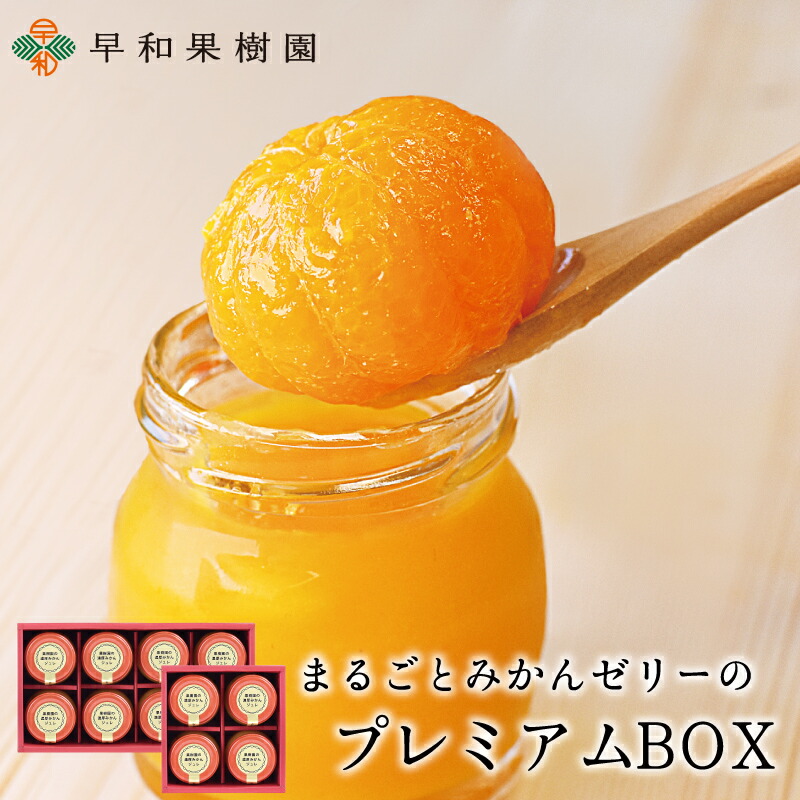 まるごとみかんゼリーのプレミアムBOX 1