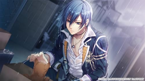Glass Heart Princess for Nintendo Switch 3