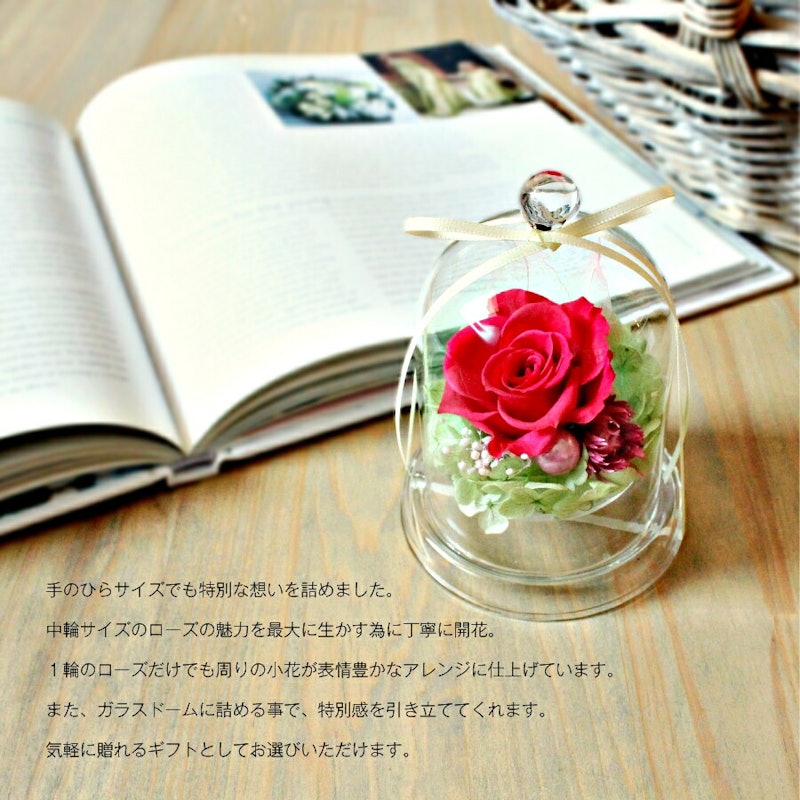 ラフレ-Lafle- 2