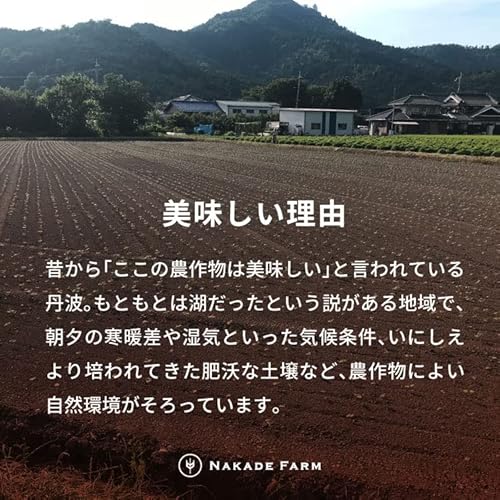 NAKADE FARM 丹波大納言ゆであずき 5