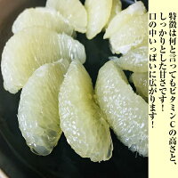 大玉 メロゴールド 4