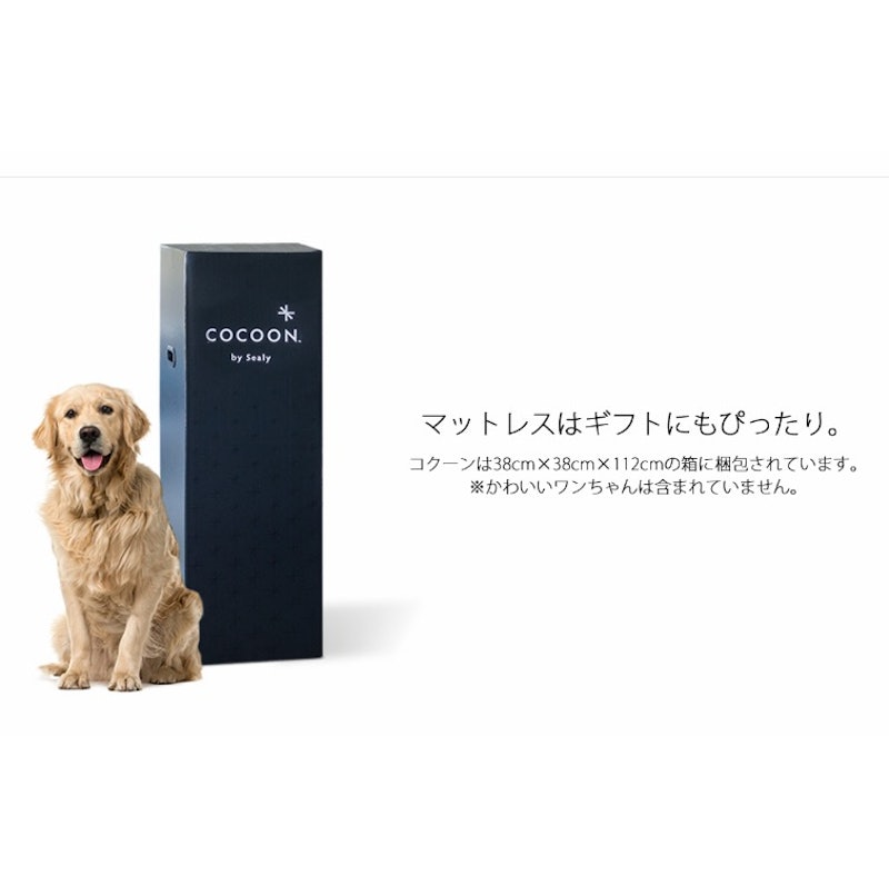 コクーン スタンダード 9