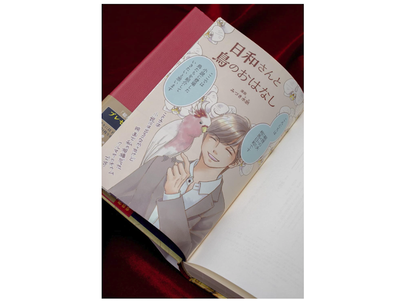 総理の夫 First Gentleman 愛蔵版 6