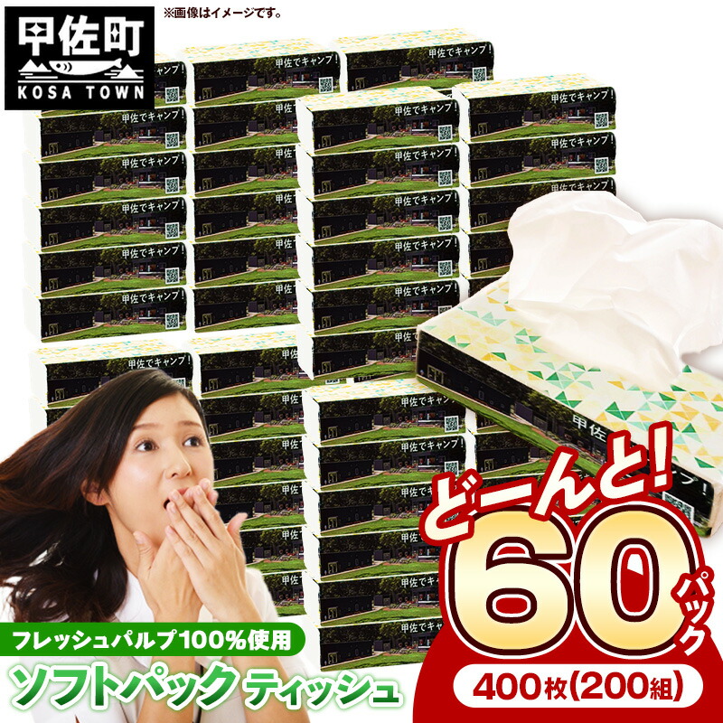 ティッシュペーパー ソフトパック 60パック 1