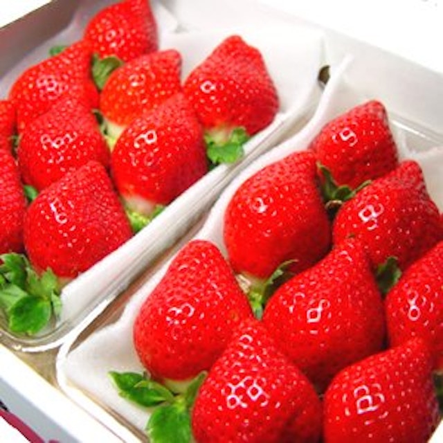 21年 贈答用いちごのおすすめ人気ランキング10選 Mybest 21年 贈答用いちごのおすすめ人気ランキング10選 Mybest