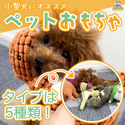 犬用おもちゃのおすすめ人気ランキング【ボール・ぬいぐるみ・知育玩具も！2024年】 | マイベスト