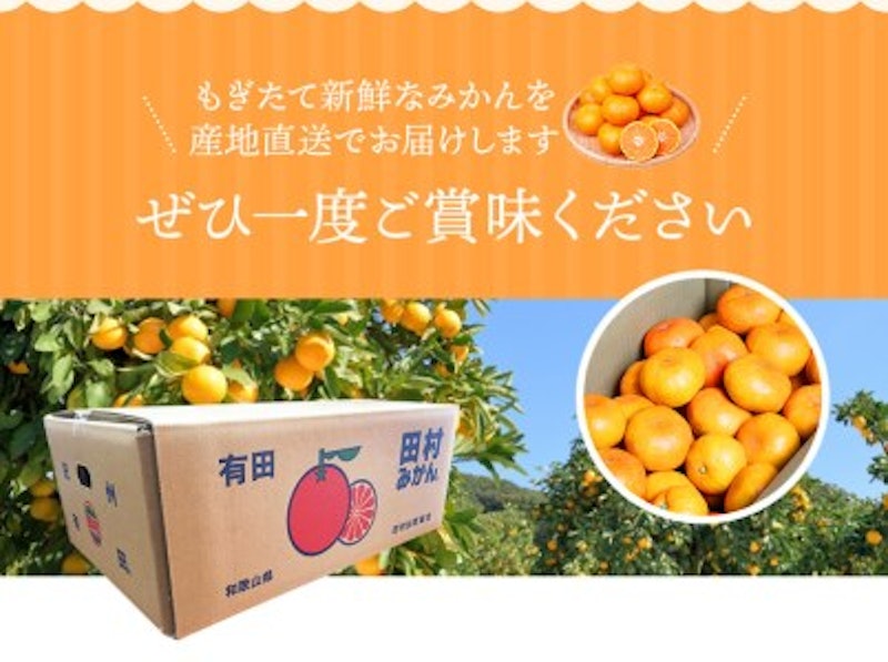 田村みかん 4