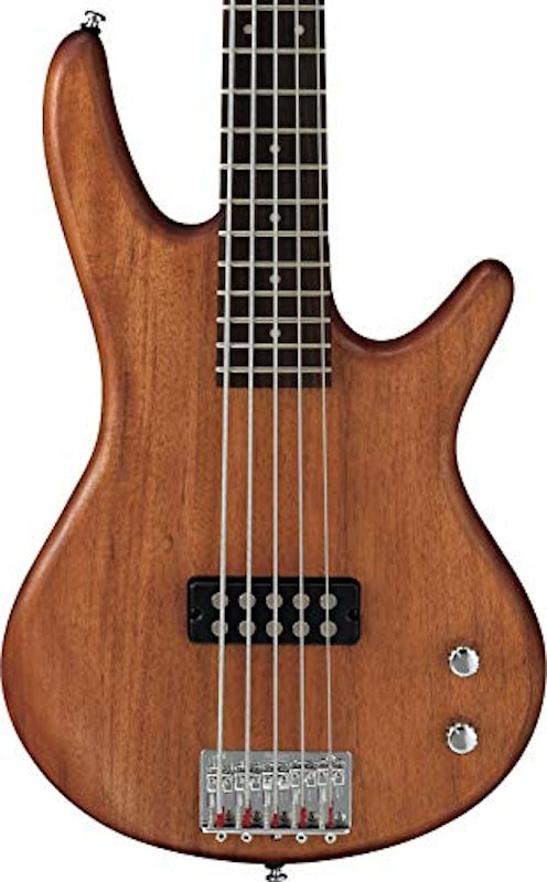 Ibanez GSR105EX 2