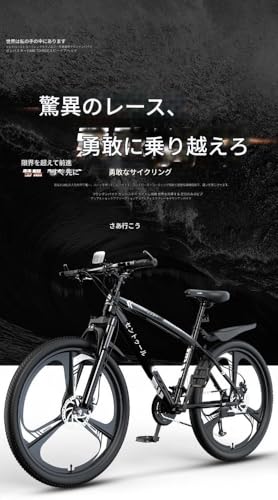 マウンテンバイク 3