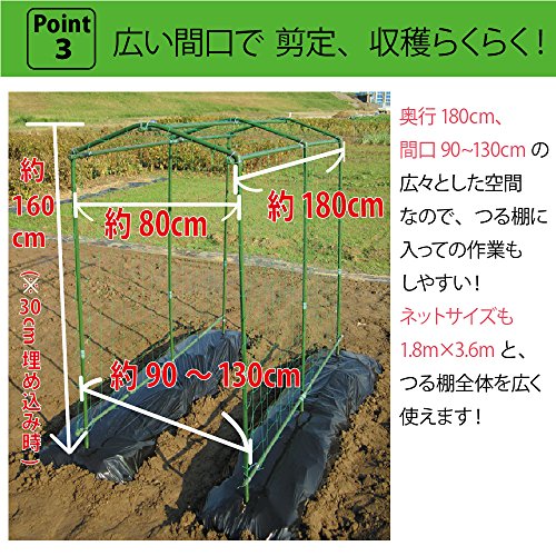 空中栽培 つる棚セット 6