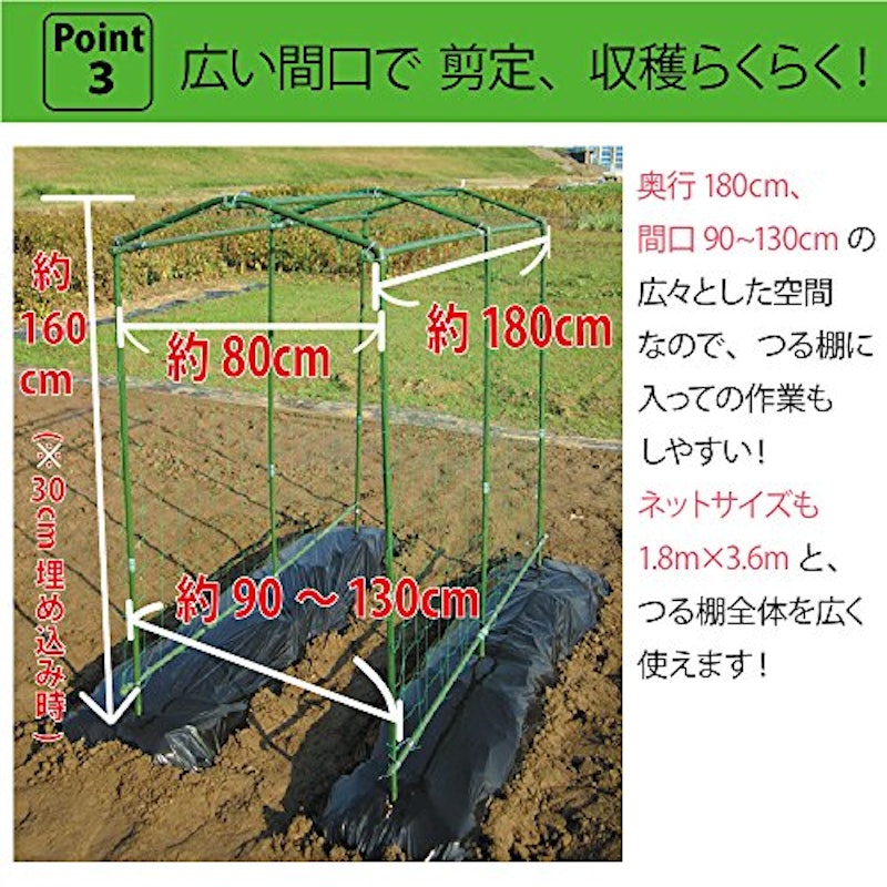 空中栽培 つる棚セット 6