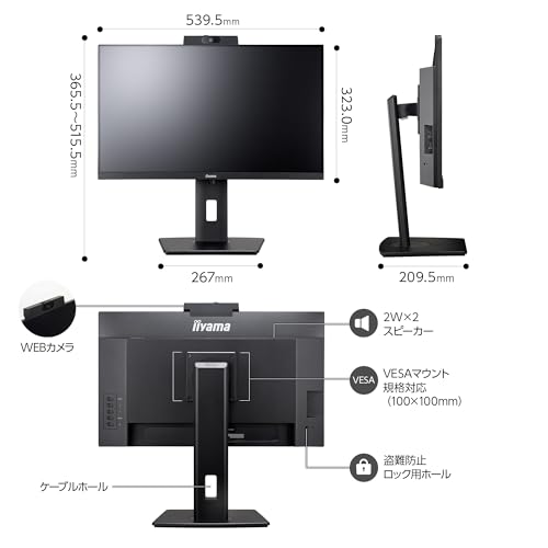 ProLite 2