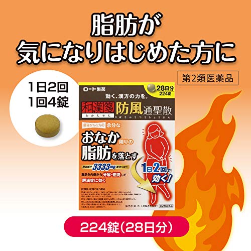 新・ロート防風通聖散錠T 5