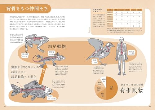 ぜんぶ絵でわかる9 すごい骨の動物図鑑 2