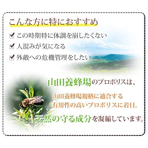 プロポリス300 2