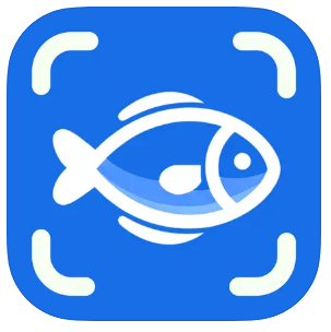 魚識別 - Fishby 1