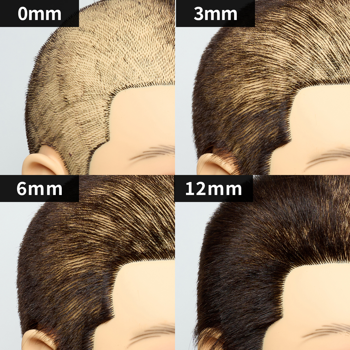 ヘアバリカン 8