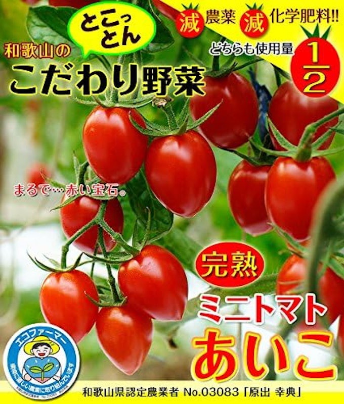 ミニトマトあいこ 2
