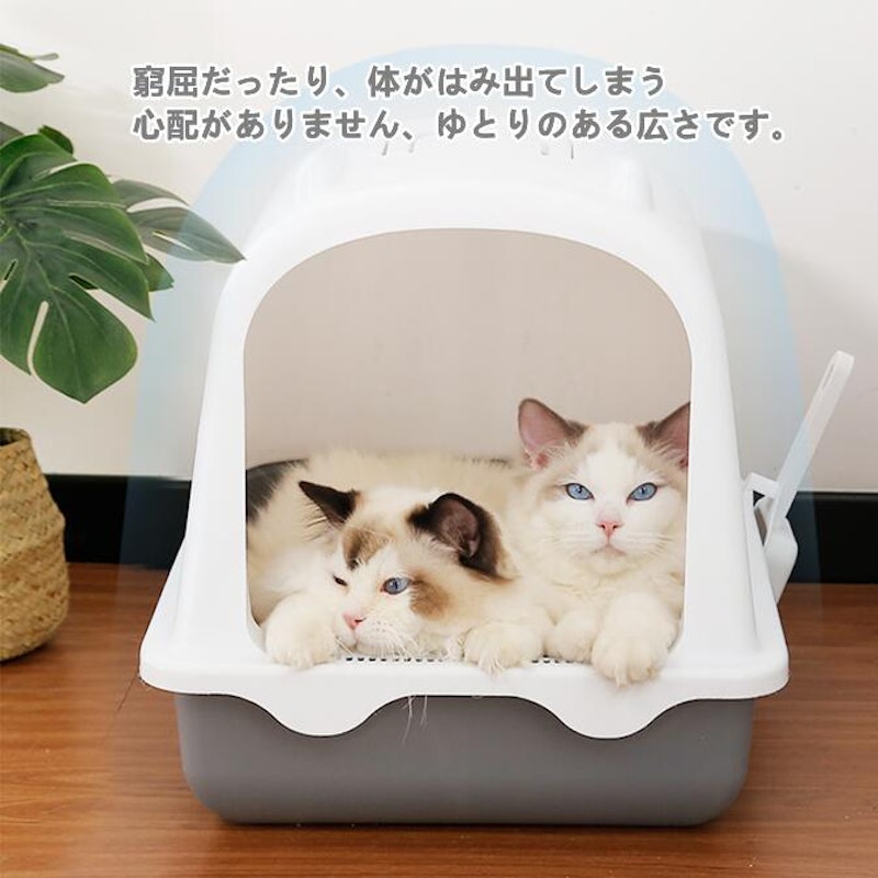 猫トイレ 3