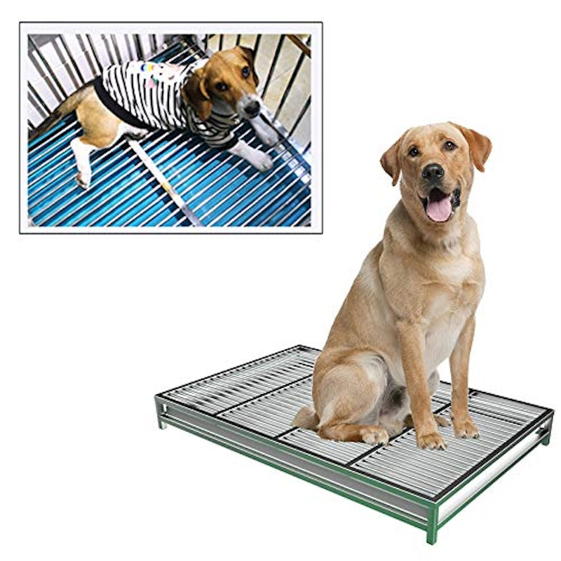 ステンレス製犬用トイレトレー 3