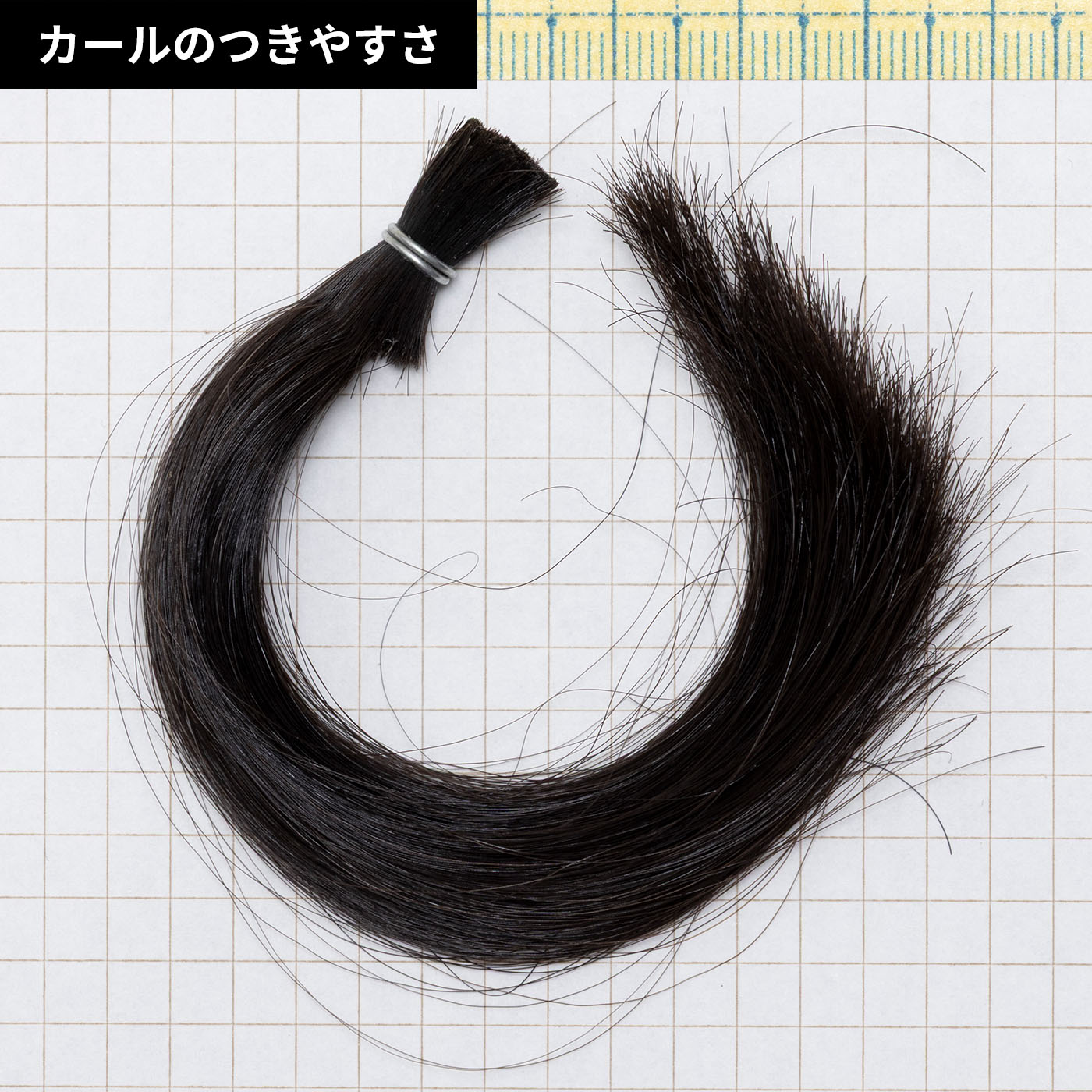 カールアイロン プロ＋ 6
