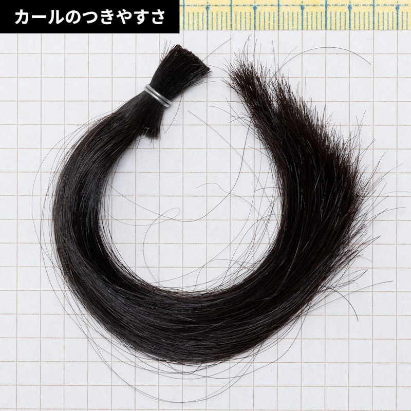 カールアイロン プロ+ 6