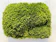 苔りあん 山苔 1
