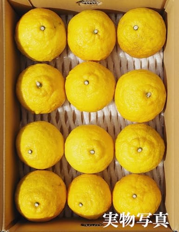 はるか 3kg 3