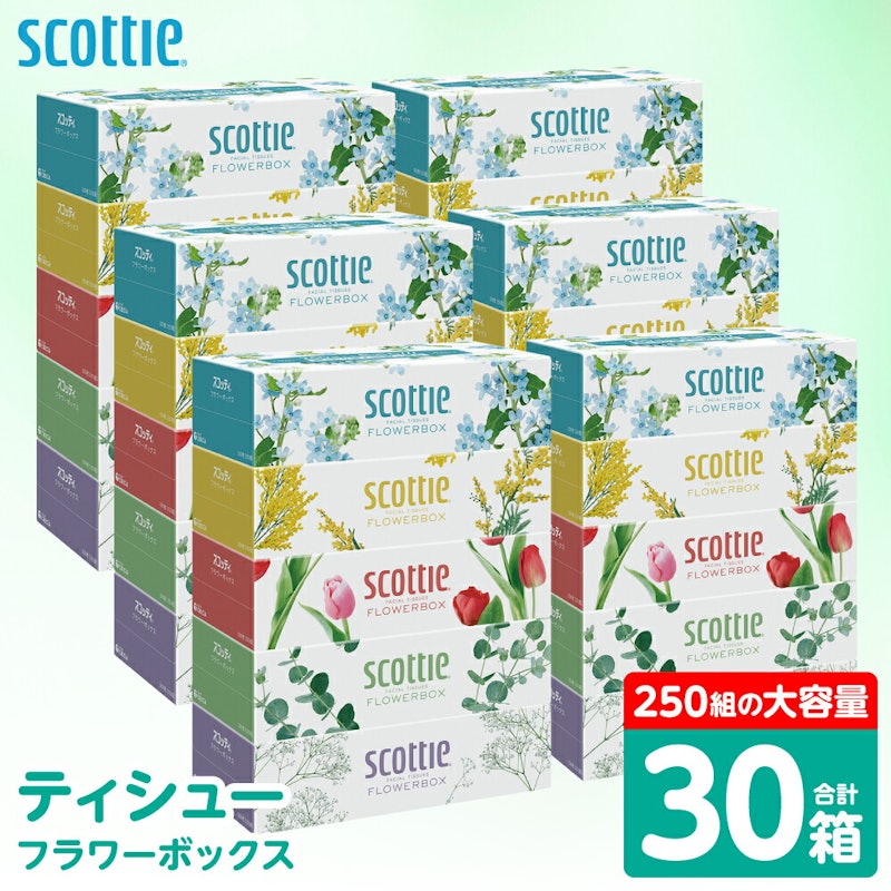 スコッティ ティシュー フラワーボックス 30箱 1