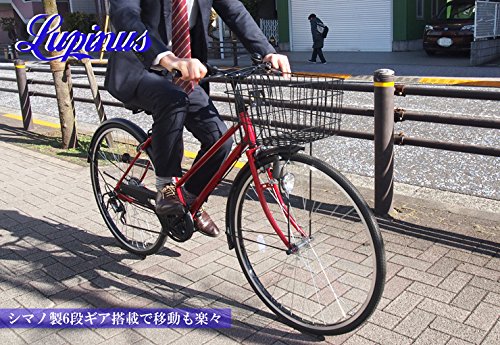 シティサイクル 1