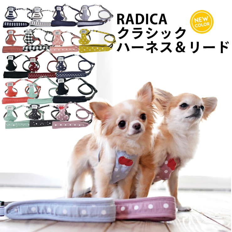 23年 かわいい犬用ハーネスのおすすめ人気ランキング40選 Mybest