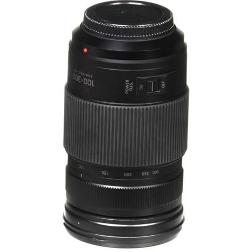 G VARIO 100-300mm / F4.0-5.6 Ⅱ / POWER O.I.S. 4