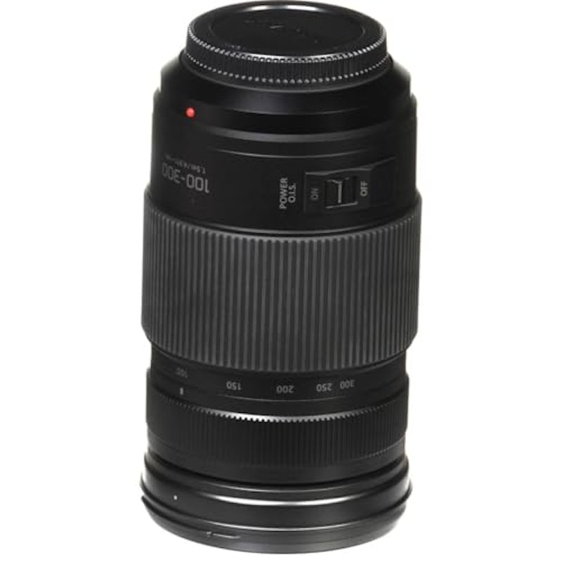 G VARIO 100-300mm / F4.0-5.6 Ⅱ / POWER O.I.S. 4