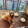 通用 ウッドデッキパネル 1