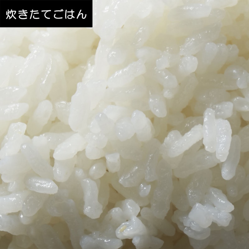 IHジャー炊飯器 9