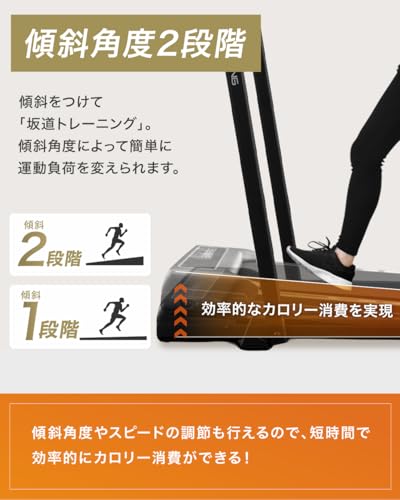 ルームランナー 12