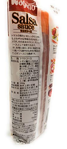 サルサソース 2