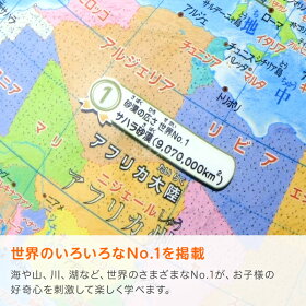 小学生の地球儀 行政タイプ 20cm球 6